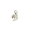 Load image into Gallery viewer, Plumeria Letter Charms