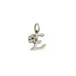 Load image into Gallery viewer, Plumeria Letter Charms