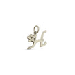 Load image into Gallery viewer, Plumeria Letter Charms