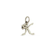 Load image into Gallery viewer, Plumeria Letter Charms