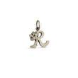 Load image into Gallery viewer, Plumeria Letter Charms