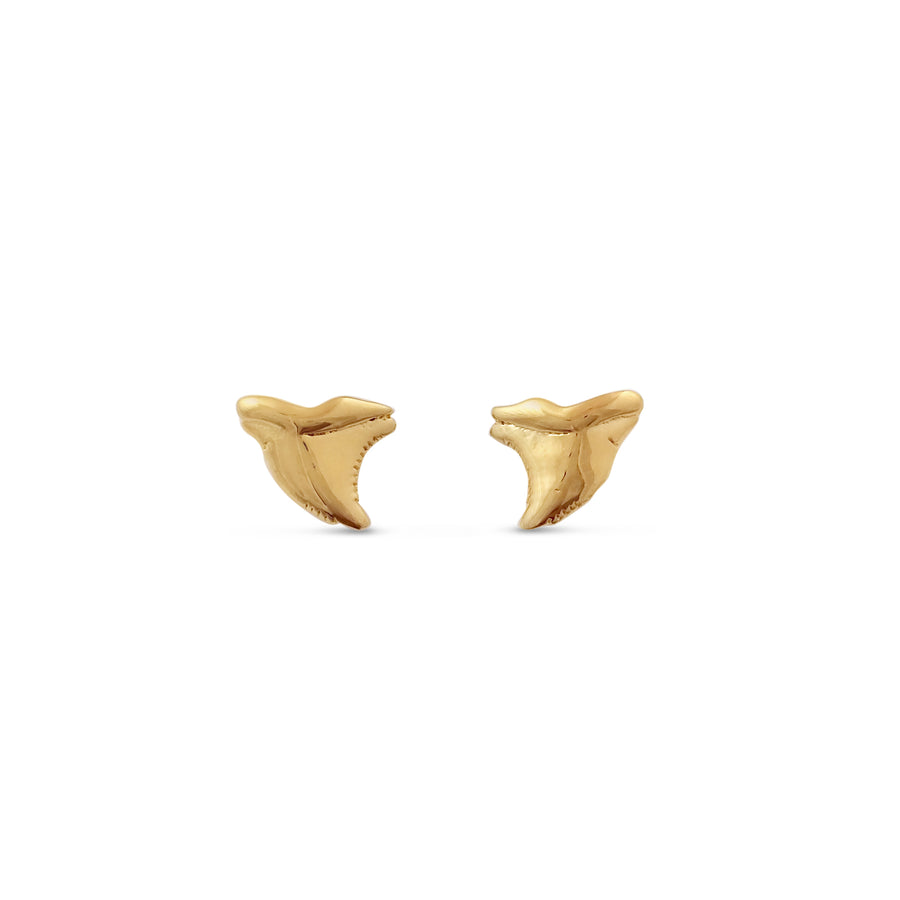 Shark Tooth Mini Earrings - Vermeil
