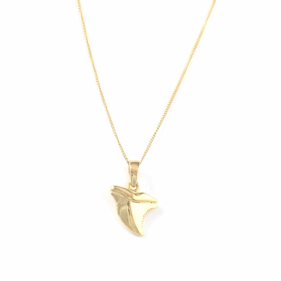 Shark Tooth Necklace Gold Vermeil